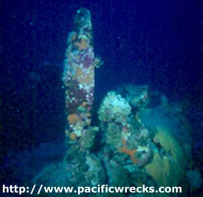 Click For Enlargement