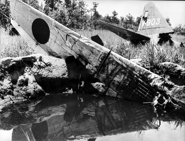 Click For Enlargement