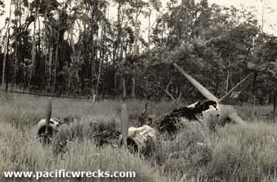 Click For Enlargement