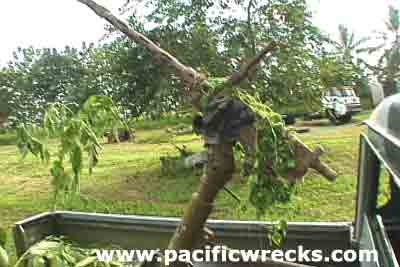 Click For Enlargement