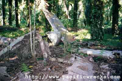 Click For Enlargement