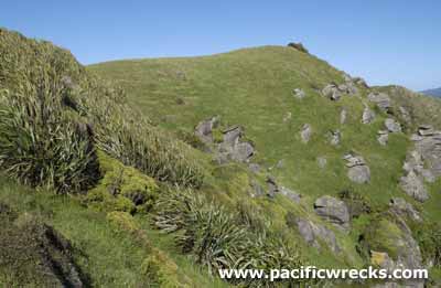 Click For Enlargement