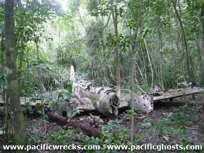 Click For Enlargement