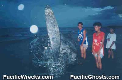 Click For Enlargement