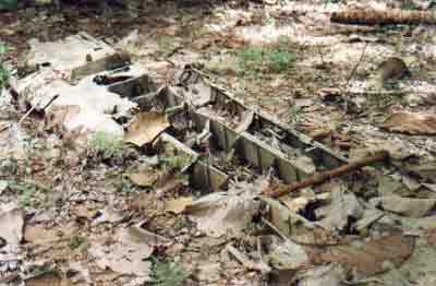 Click For Enlargement