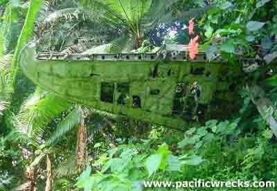 Click For Enlargement