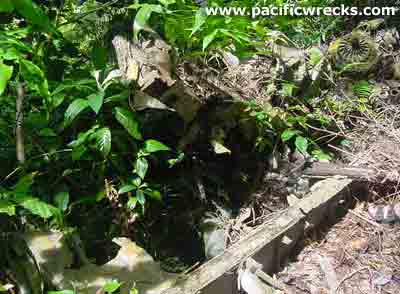 Click For Enlargement