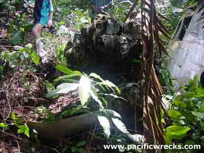 Click For Enlargement