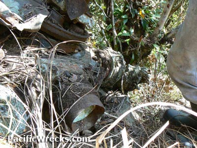 Click For Enlargement