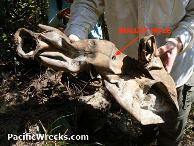 Click For Enlargement