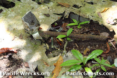 Click For Enlargement