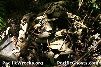 Click For Enlargement