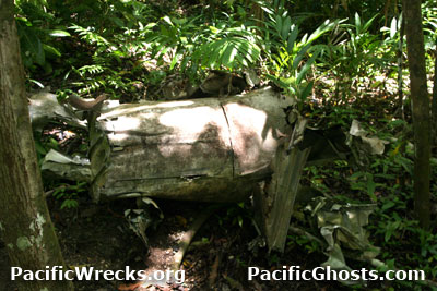 Click For Enlargement