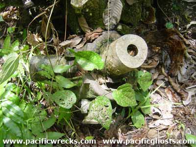 Click For Enlargement