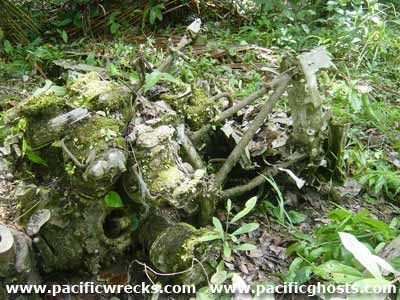 Click For Enlargement