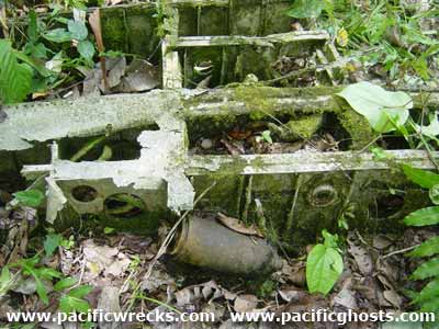 Click For Enlargement