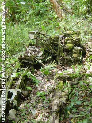 Click For Enlargement