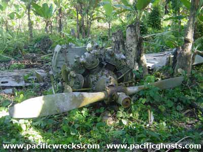 Click For Enlargement