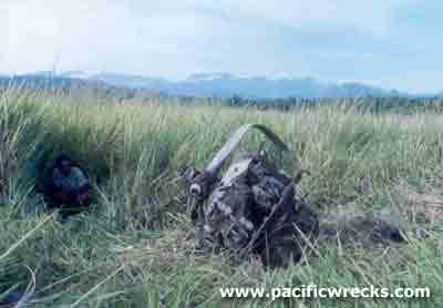 Click For Enlargement