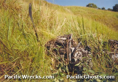 Click For Enlargement