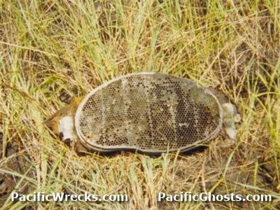 Click For Enlargement