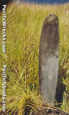 Click For Enlargement