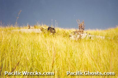 Click For Enlargement