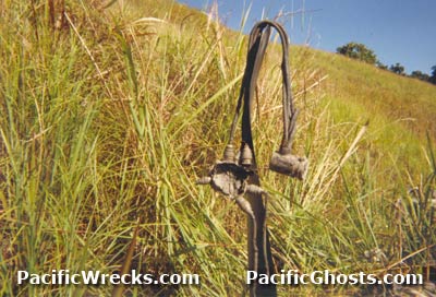 Click For Enlargement