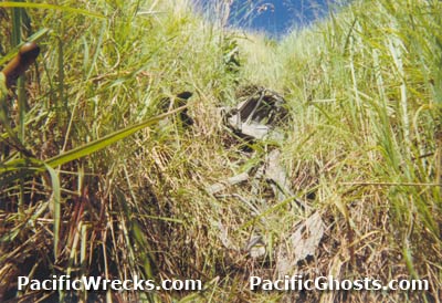 Click For Enlargement