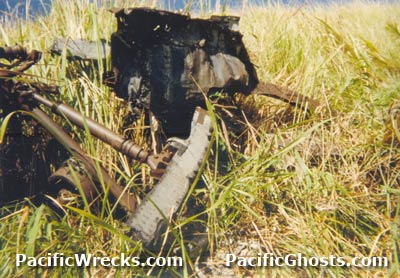 Click For Enlargement