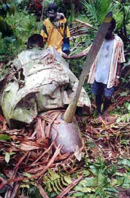 Click For Enlargement