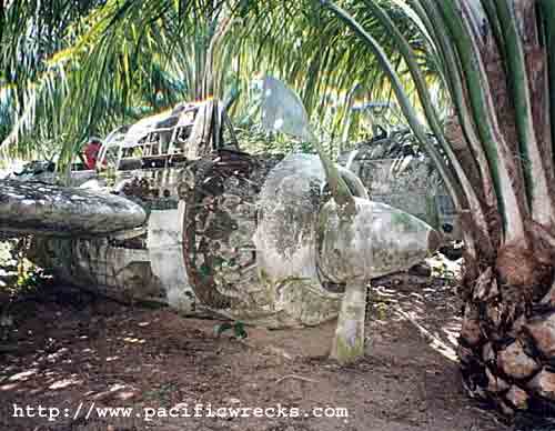 Click For Enlargement