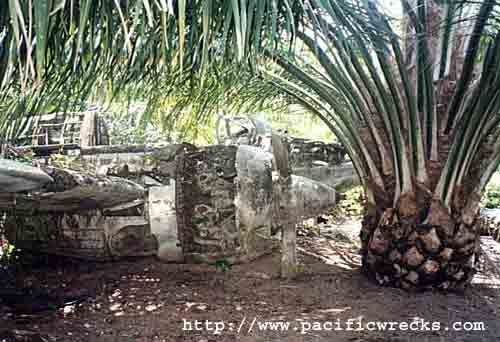 Click For Enlargement