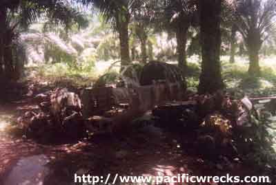 Click For Enlargement