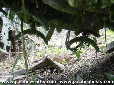 Click For Enlargement