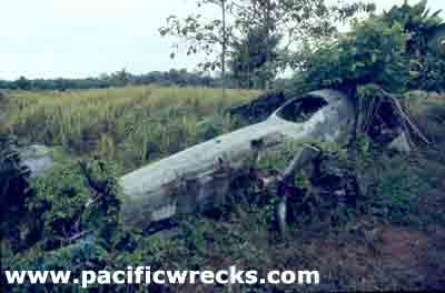 Click For Enlargement