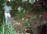 Click For Enlargement