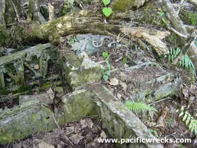 Click For Enlargement