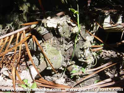 Click For Enlargement