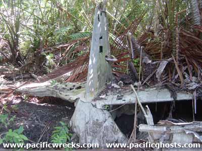 Click For Enlargement