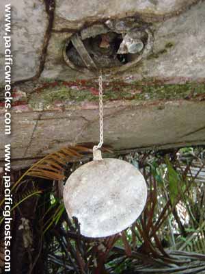 Click For Enlargement