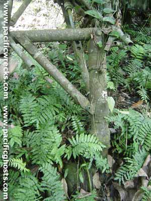 Click For Enlargement