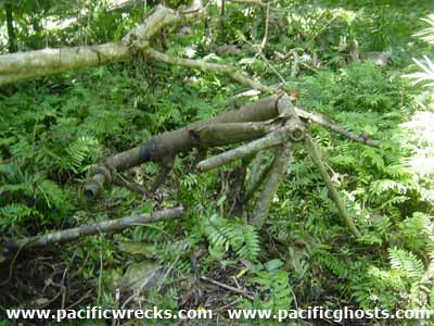 Click For Enlargement