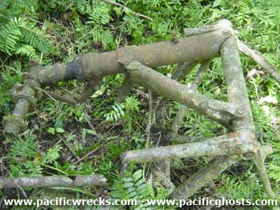 Click For Enlargement