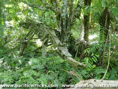 Click For Enlargement