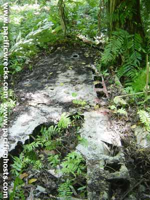 Click For Enlargement