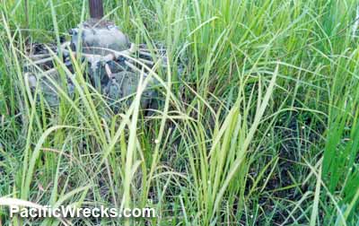 Click For Enlargement