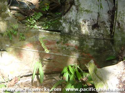 Click For Enlargement