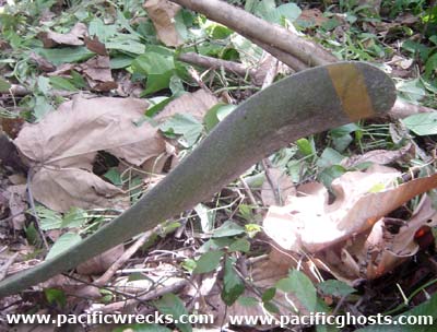 Click For Enlargement