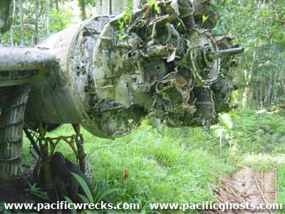 Click For Enlargement